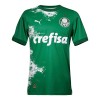 Maillot de Supporter Palmeiras Special 2024 Verte Pour Homme